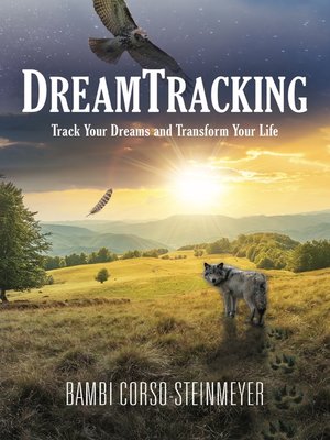 cover image of DreamTracking